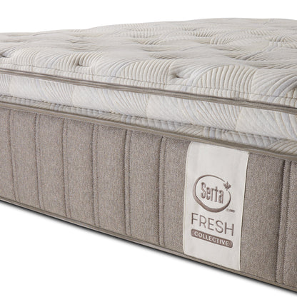 Serta Fresh Collective Organic Cotton Mattress