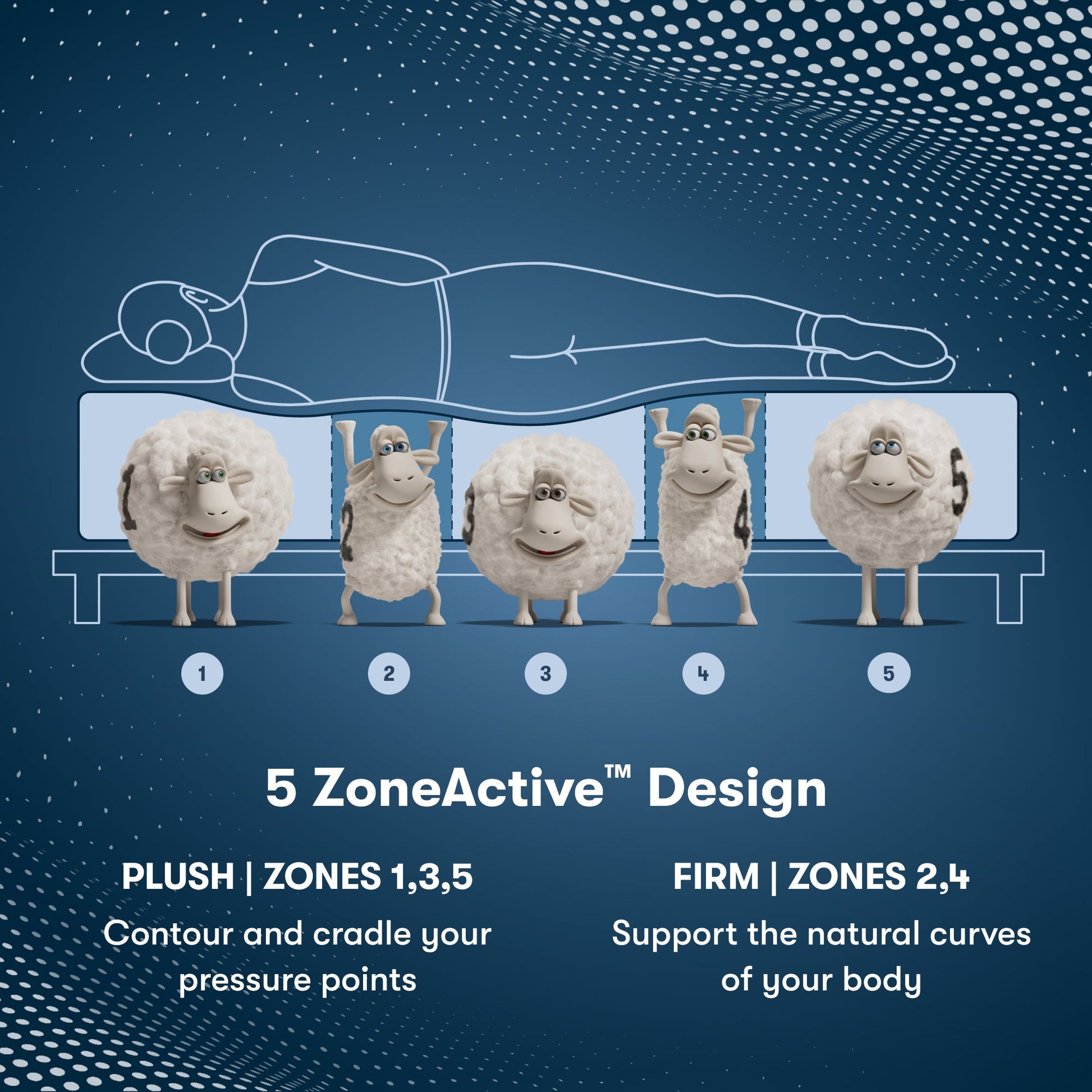 Perfect Sleeper Pro Edinburgh Plush Pillow Top Mattress Component 5 Zone chart || Level: Level 2 || Feel: Plush Pillow Top
