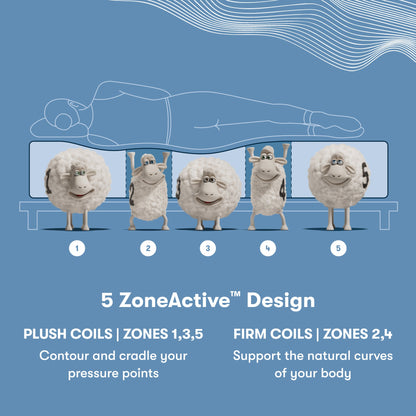 Perfect Sleeper X Hybrid Prescot Medium Firm 5 Zone chart || feel: Medium Firm || level: Level 2