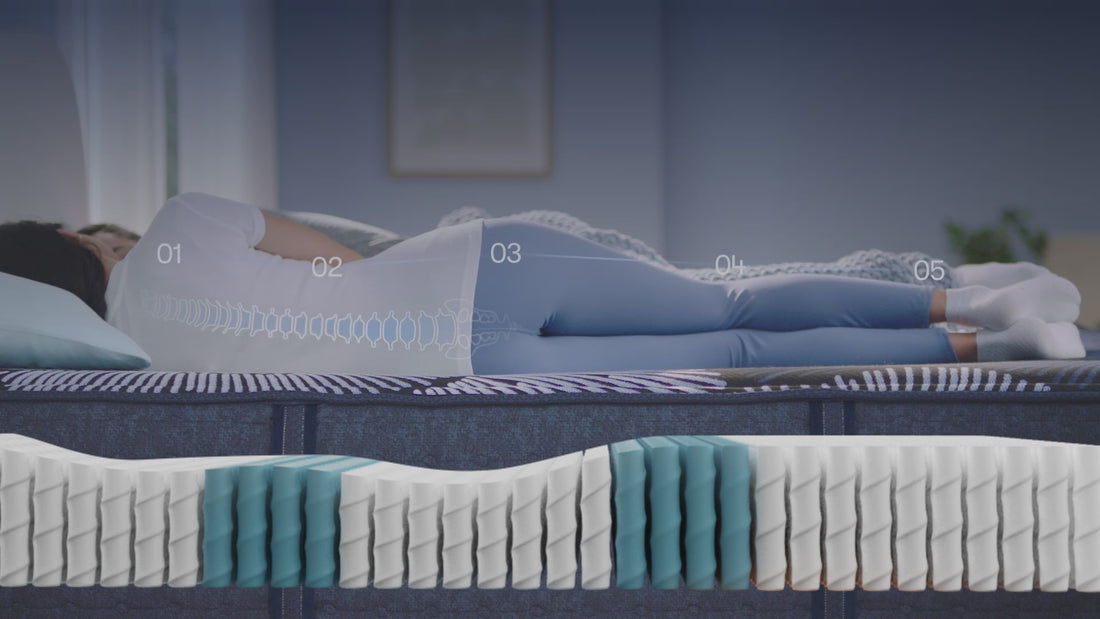 Animation illustrating Serta’s zoned comfort construction, highlighting how it provides targeted support and promotes spinal alignment.