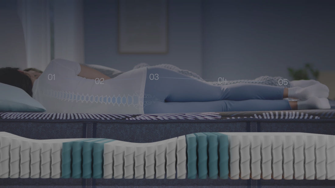 Animation illustrating Serta’s zoned comfort construction, highlighting spinal alignment.