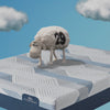 Serta cartoon sheep stretching and getting comfy on a mattress with clouds int he background.