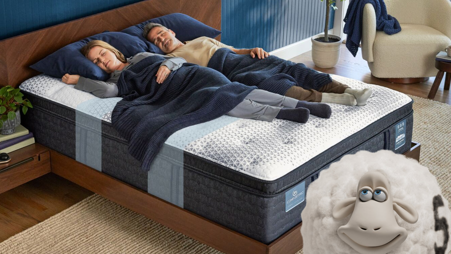 Couple sleeping on a Serta iComfort Pro mattress with a blue blanket laying over them and a Serta sheep at the foot of the bed